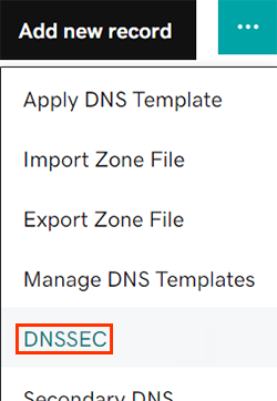 wybierz pomocniczy DNS