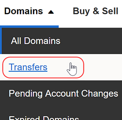 select transfers from domains menu