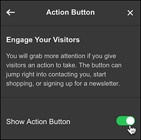 toggle on Show Action Button