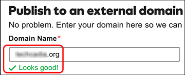 enter external domain name