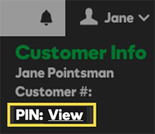 Account menu open showing View PIN link