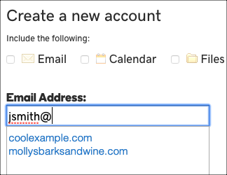 Enter email name and select domain