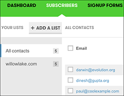 Contacts appear in Subscribers tab